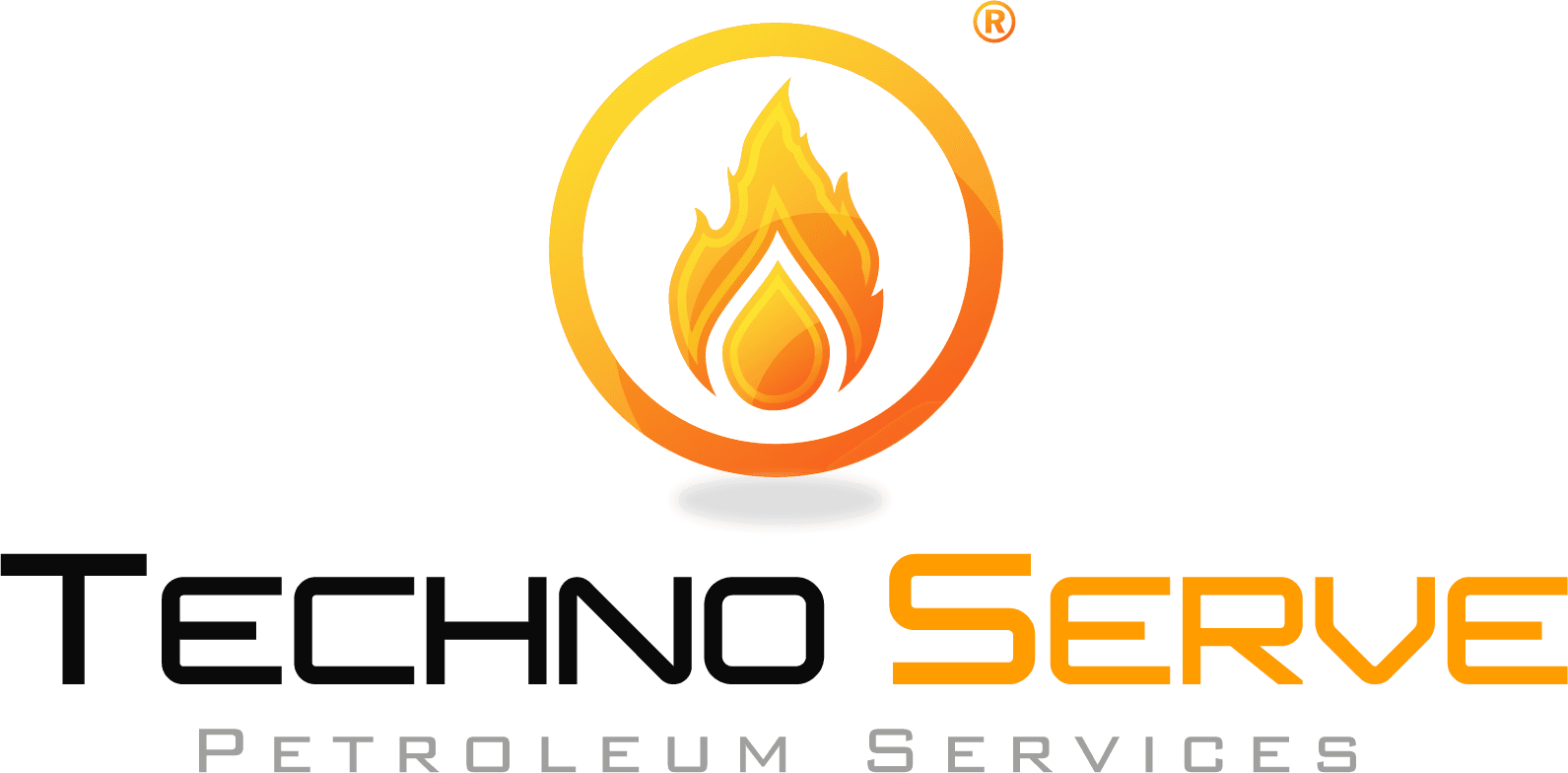 Technoserv logo